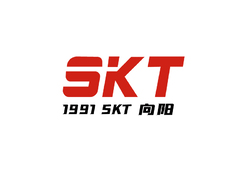 1991SKT向阳