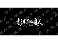 鹏辉的夏天