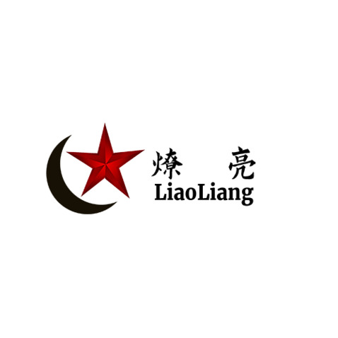 燎亮教育logo设计