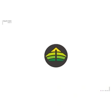 金健