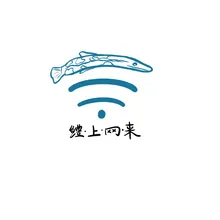 上网