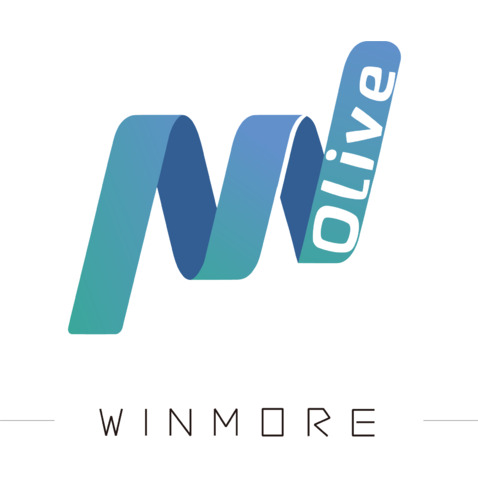 winmorelogo设计