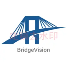 bridgevision