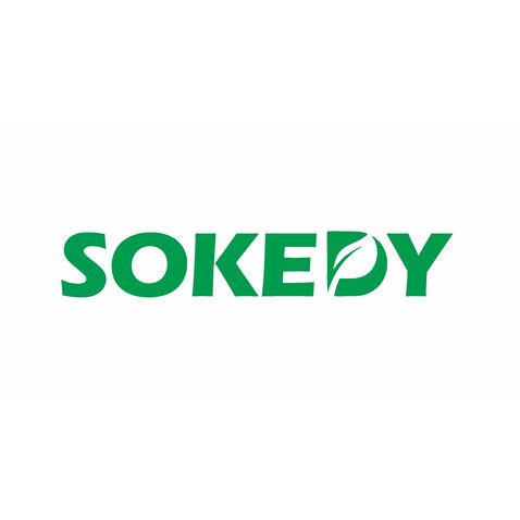 SOKEDYlogo设计