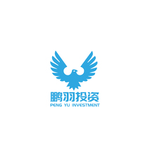 鹏羽投资
