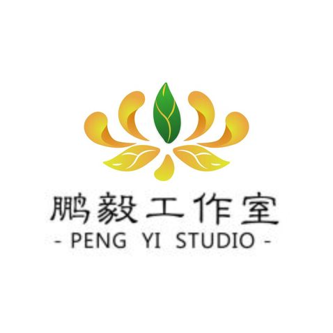 鹏毅工作室logo设计