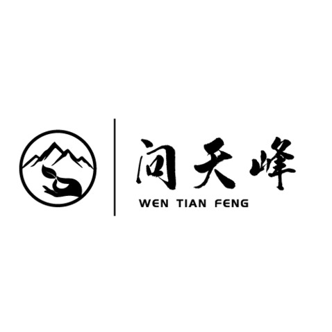 问天峰logo设计