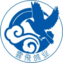 飞鸽