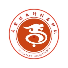 龙灯