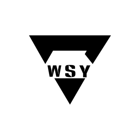 WSYlogo设计