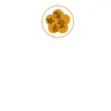圆融