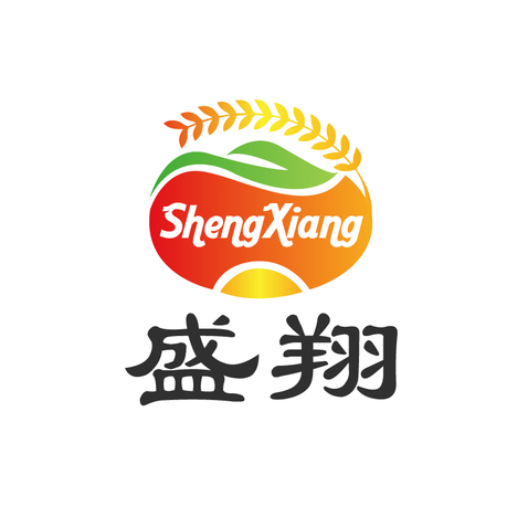 盛翔logo设计