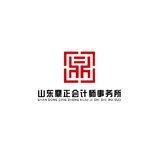 山东鼎正会计师事务所