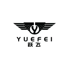 飞跃