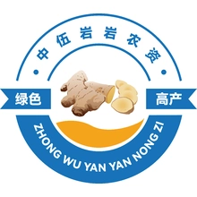 龙岩