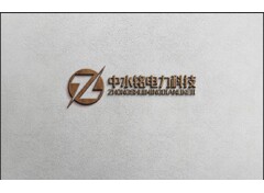 中水电力