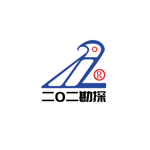 202勘探队logo设计