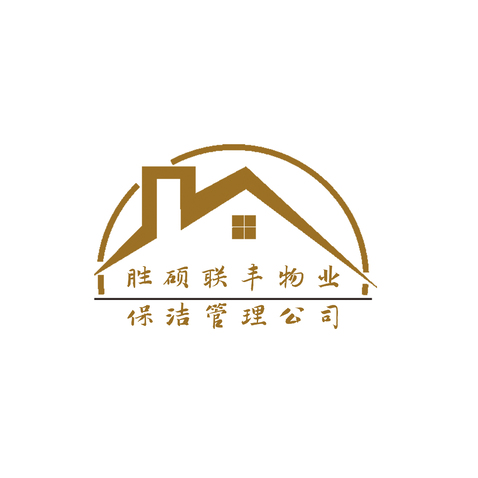 胜硕联丰logo设计