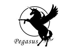 Pegasus