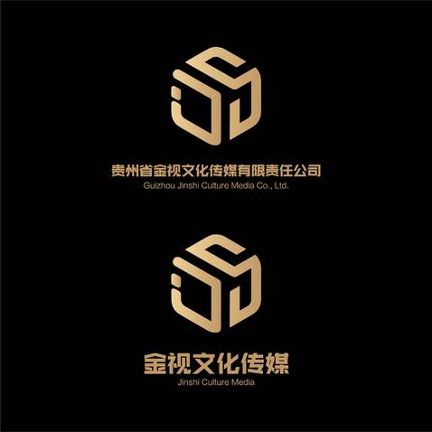 贵州省金视文化传媒有限责任公司logo设计