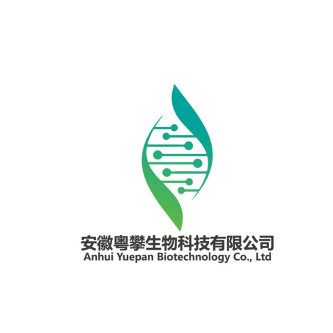 粤攀logo设计