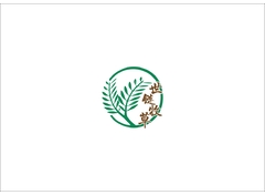 世链牧草