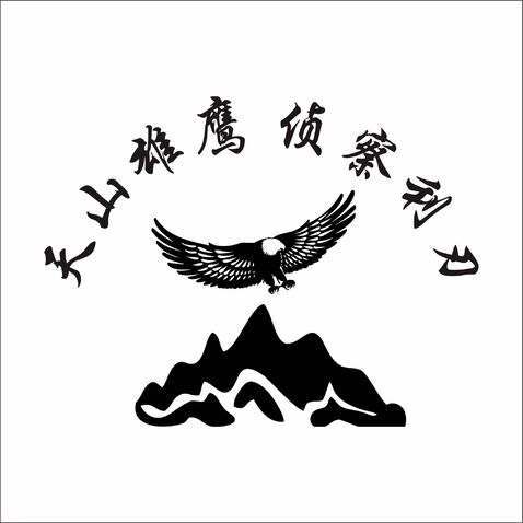 天山雄鹰 侦察利刃logo设计