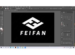 FEI FAN