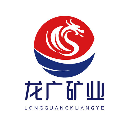 龙广logo设计