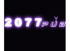2077PUB