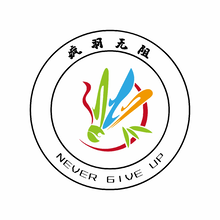 羽毛球拍