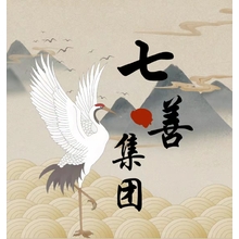 七善集团