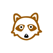 raccoon