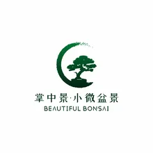 掌中