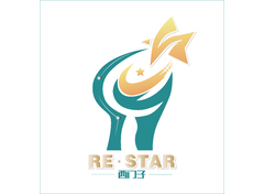 RE STAR 西门子
