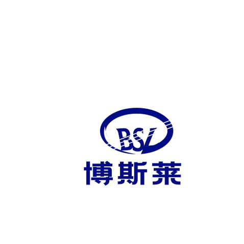 博莱斯logo设计