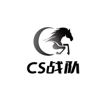 CS战队