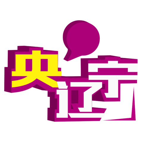 央辽宁logo设计