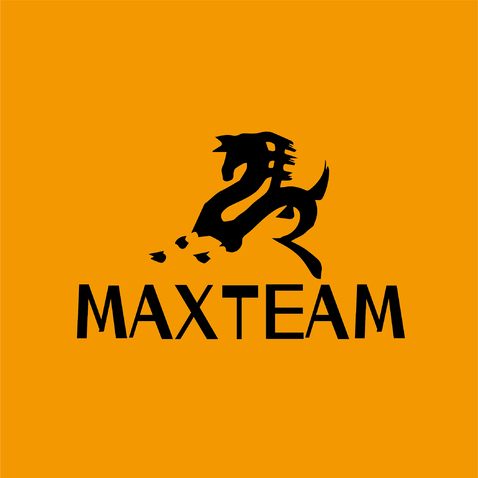 MAXTEAMlogo设计