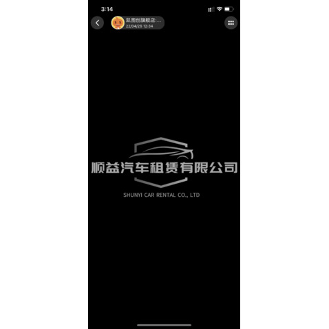 顺益汽车租赁有限公司logo设计