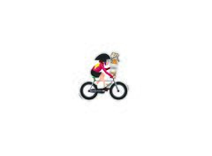 BEER BIKE