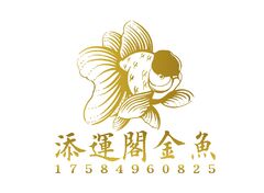 添運阁金鱼