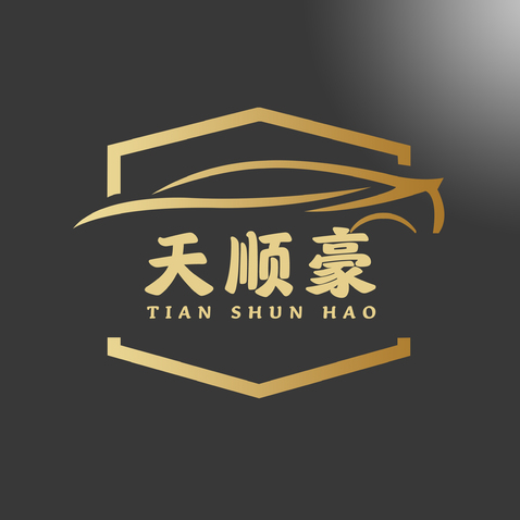 天顺豪汽配logo设计