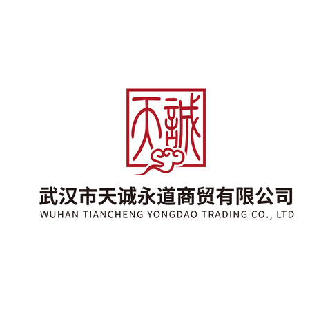 武汉市天诚永道商贸有限公司logo设计