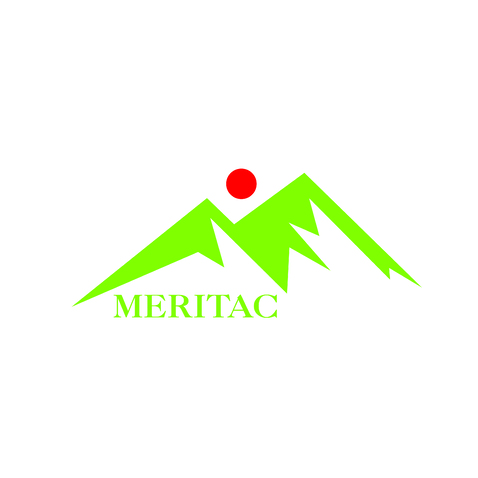MERITAClogo设计