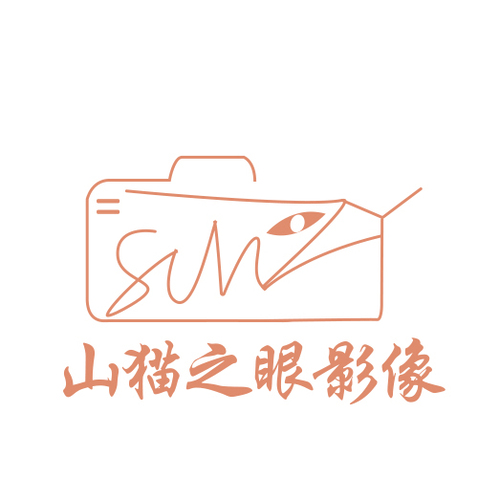 山猫之眼影5logo设计