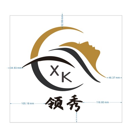 新卡领秀logo设计