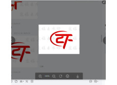 ZF