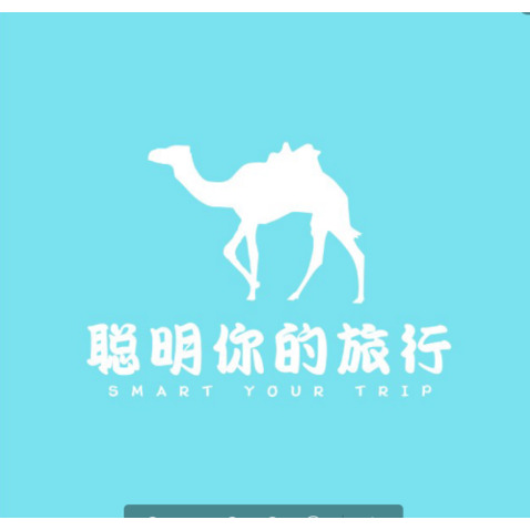 聪明你的旅行logo设计