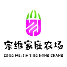 火龙果
